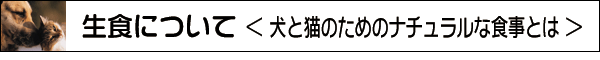 生食について