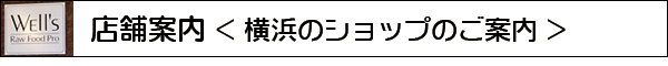 ショップのご案内